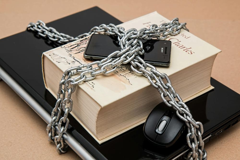 Privacy in the Digital Age: Balancing Data and Personal Freedom
