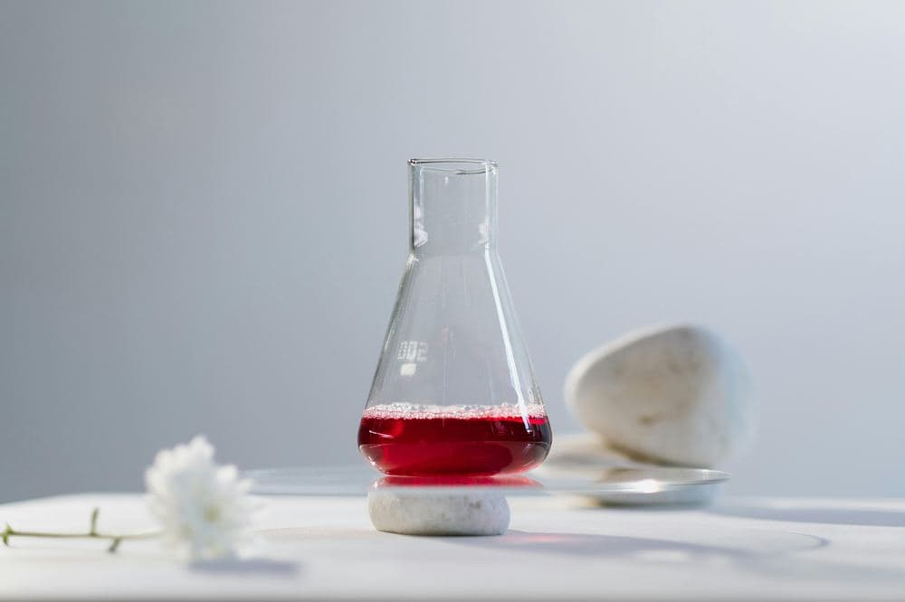 The Limits of Scientific Objectivity