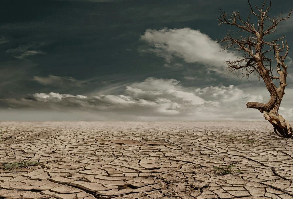 Climate Change and Sustainability
