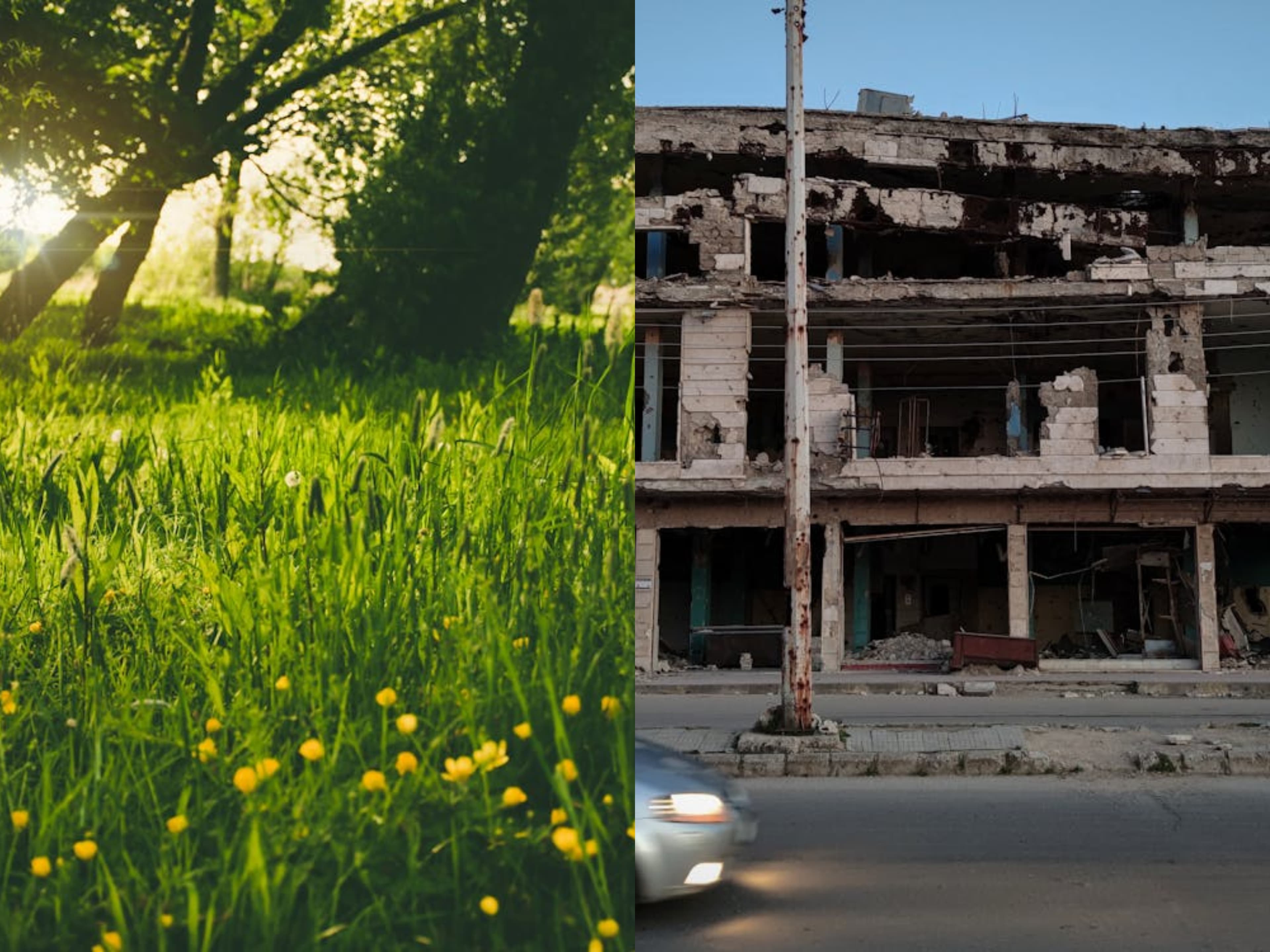 War and Peace